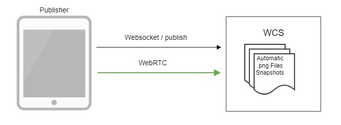 snapshot_WebRTC_Android_iOS_SDK_API_WCS_browser_RTMP_RTSP_VOD_SIP_RTP