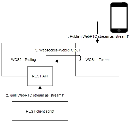 Testing Server-Server as a WebRTC pulling