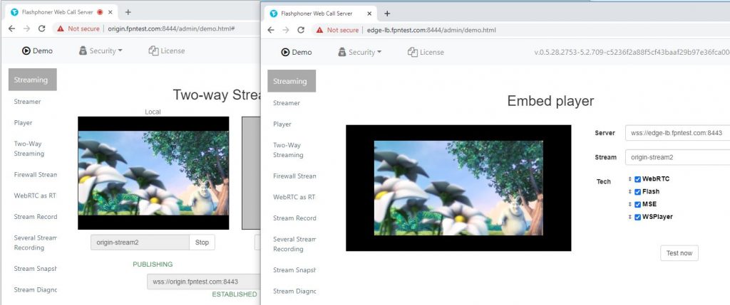 testing_domain_name_WCS_Amazon_AWS_Marketplace_Balancer_AutoScaling_WebSocket_WebRTC