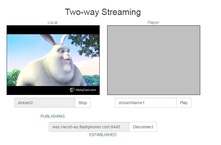 video-stream-iOS-SDK