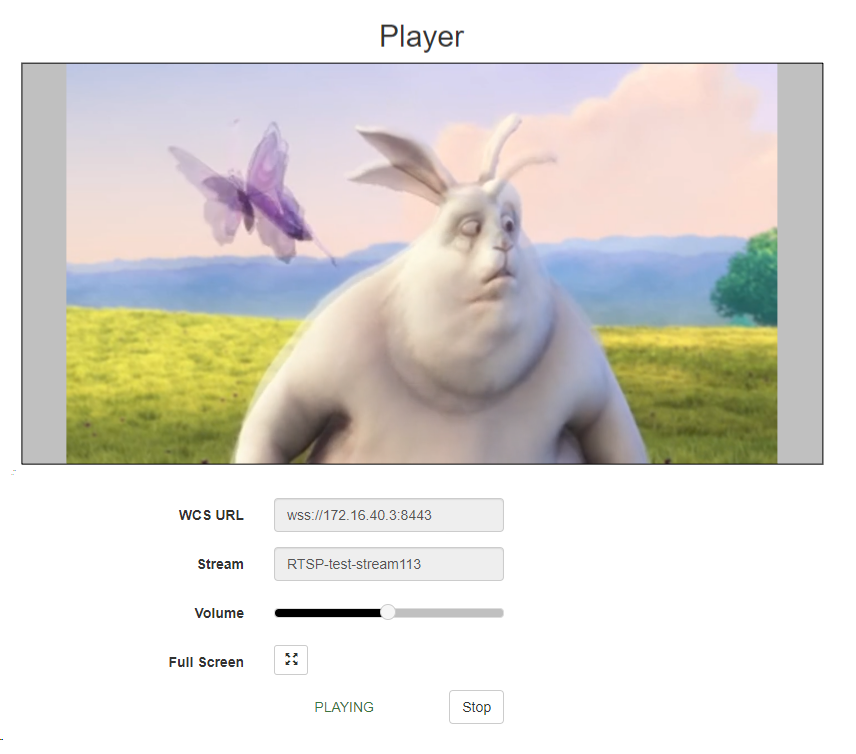 control_stream_2000_RTSP_testing_VOD_WCS__RESTApi_stream_publishing_IPcamera_browser