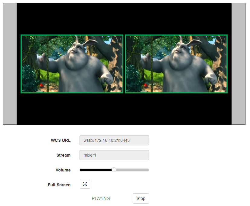 control_stream_RTMP_12-2_WCS_WebRTC_mixer_transcoding_RESTApi_stream_WebSocket_publishing_testing