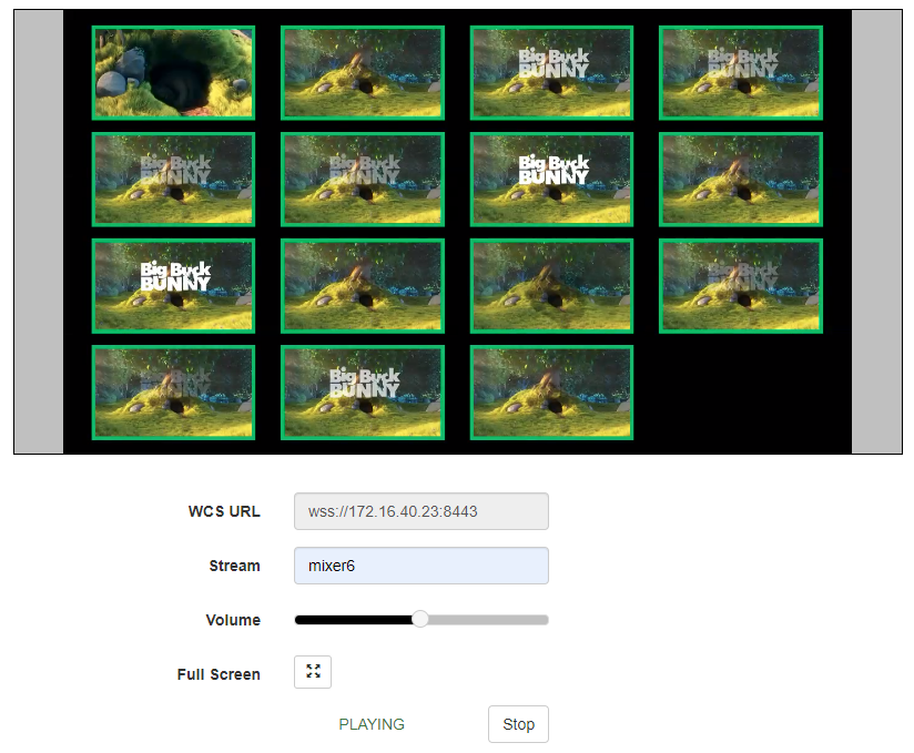 control_stream_RTMP_8-15_WCS_WebRTC_mixer_transcoding_RESTApi_stream_WebSocket_publishing_testing