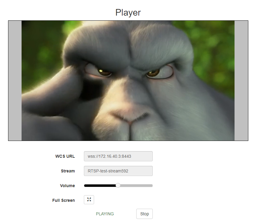 control_stream_RTSP_testing_VOD_WCS__RESTApi_stream_publishing_IPcamera_browser