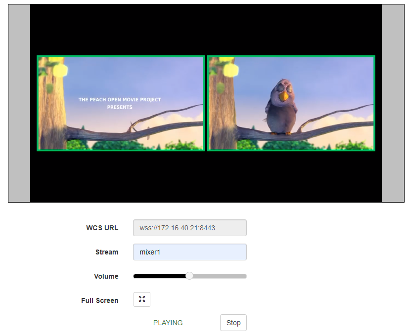 control_stream_VOD_12-2_WCS_WebRTC_mixer_transcoding_RESTApi_stream_WebSocket_publishing_testing