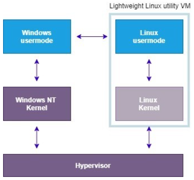 How_does_WSL_work
