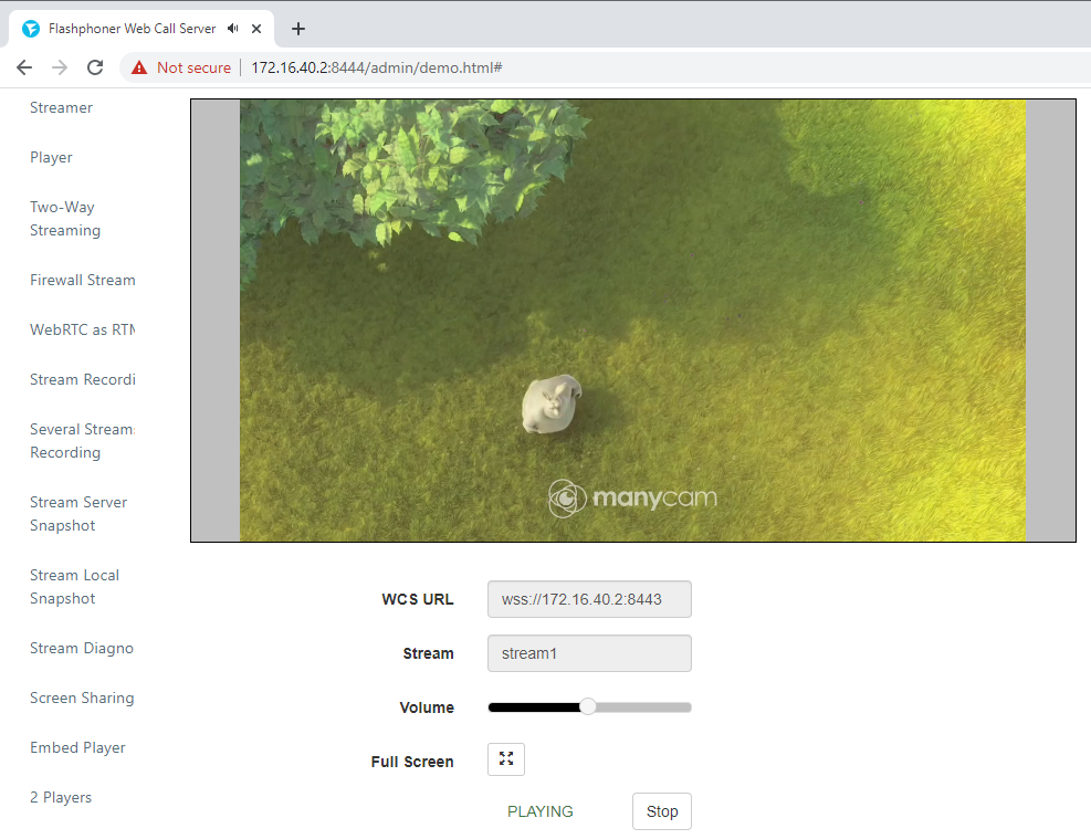 play_stream_720p_WCS_WebRTC_browser_stream_WebSocket_publishing_testing