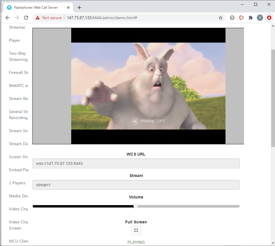 play_stream_WCS_WebRTC_browser_stream_WebSocket_publishing_testing