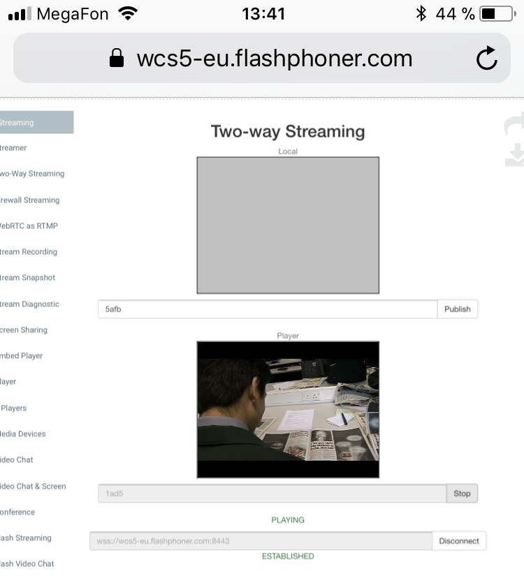 Simple video chat