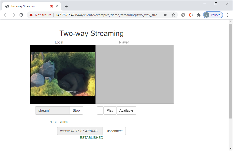 two-way_streaming_WCS_WebRTC_browser_stream_WebSocket_publishing_testing_headless_chrome