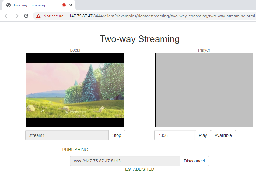 two-way_streaming_WCS_WebRTC_browser_stream_WebSocket_publishing_testing_headless_chrome